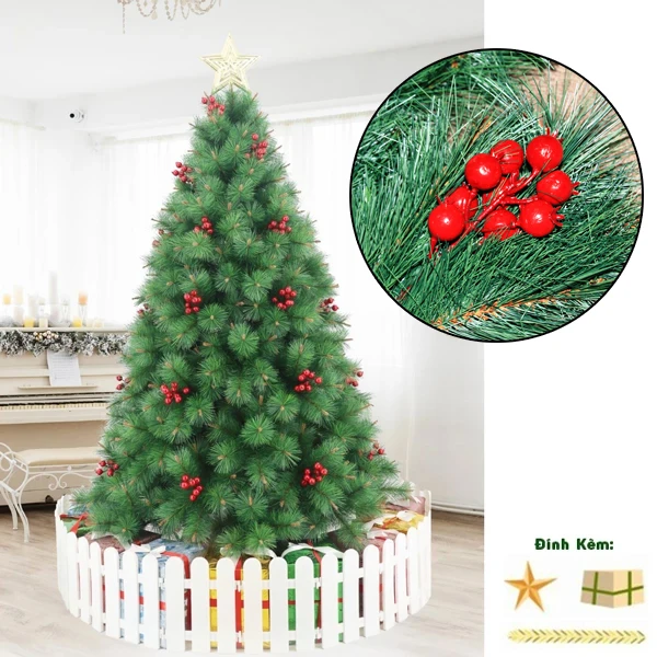 Cây Thông Noel Đầu Vàng Gắn Trái Đỏ 210 cm - Cây Treo - Chaang Chiia LP-YHN-R