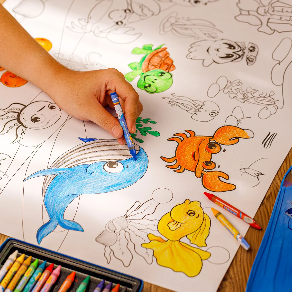 Tranh cuộn tô màu DIY Colokit CRO-C001